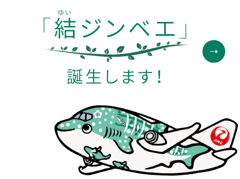 結ジンベエ誕生