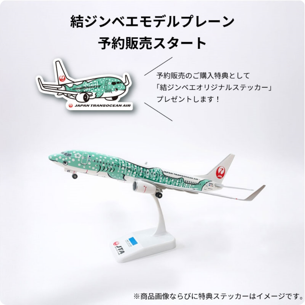 結ジンベエモデルプレーン予約販売スタート