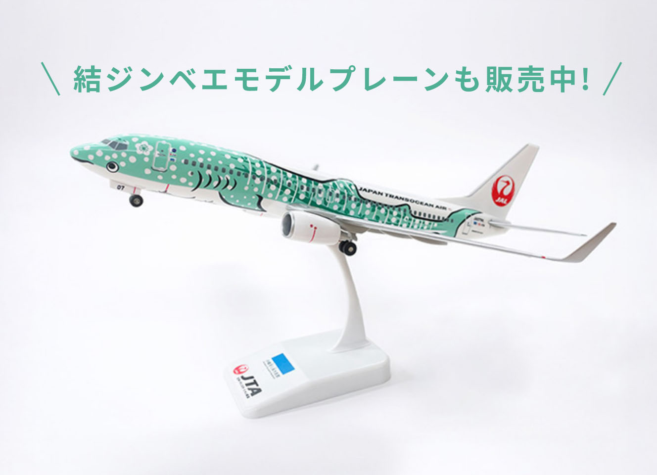 結ジンベエモデルプレーン予約販売スタート