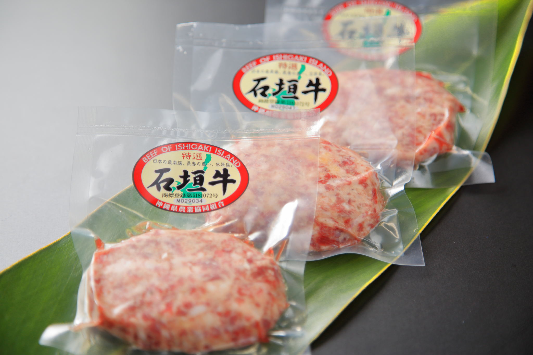 特選石垣牛100% ハンバーグ100g(10個入)