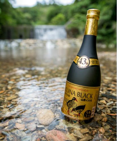 泡盛 KUINA BLACK 43度5年古酒