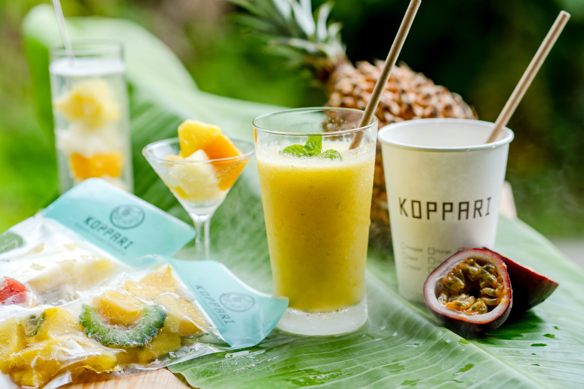 石垣島100% KOPPARIフルーツ