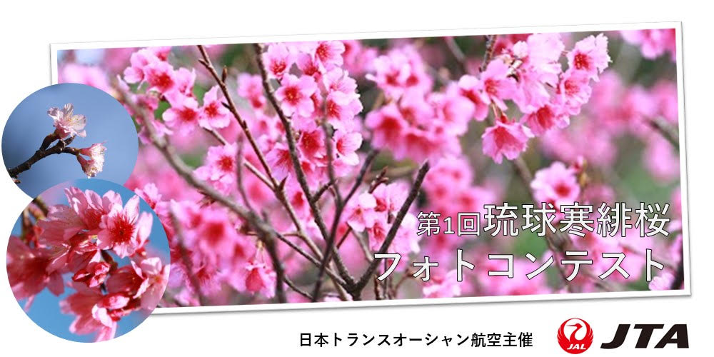 第1回 琉球寒緋桜フォトコンテスト開催！